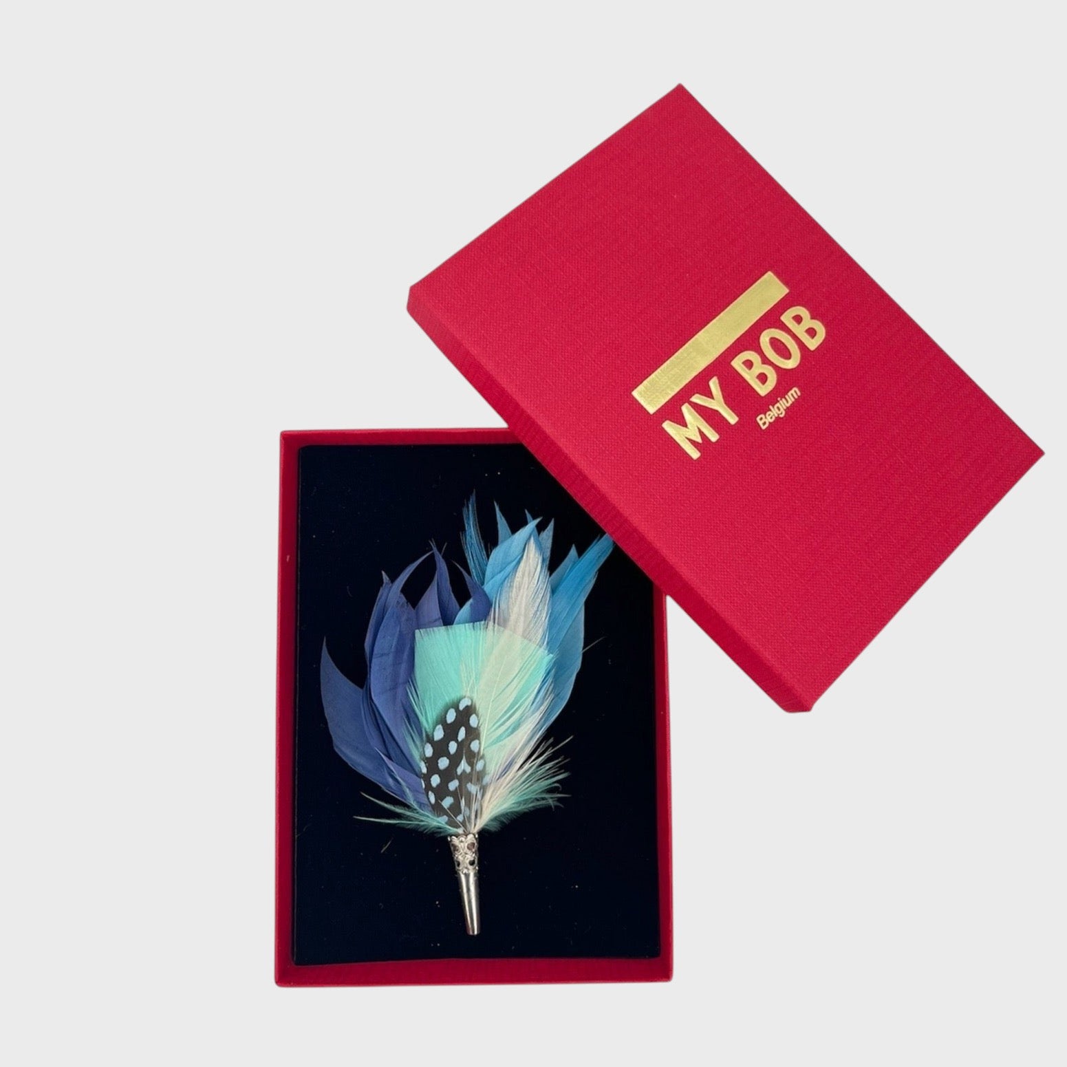 blue feather in a box on a light gray background