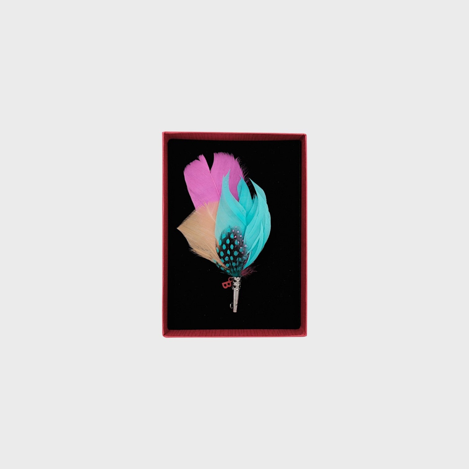 Pink and blue feather in a box on a light gray background
