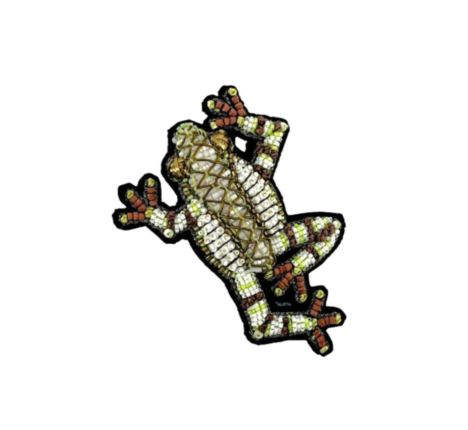 DENDROBATE Brooch