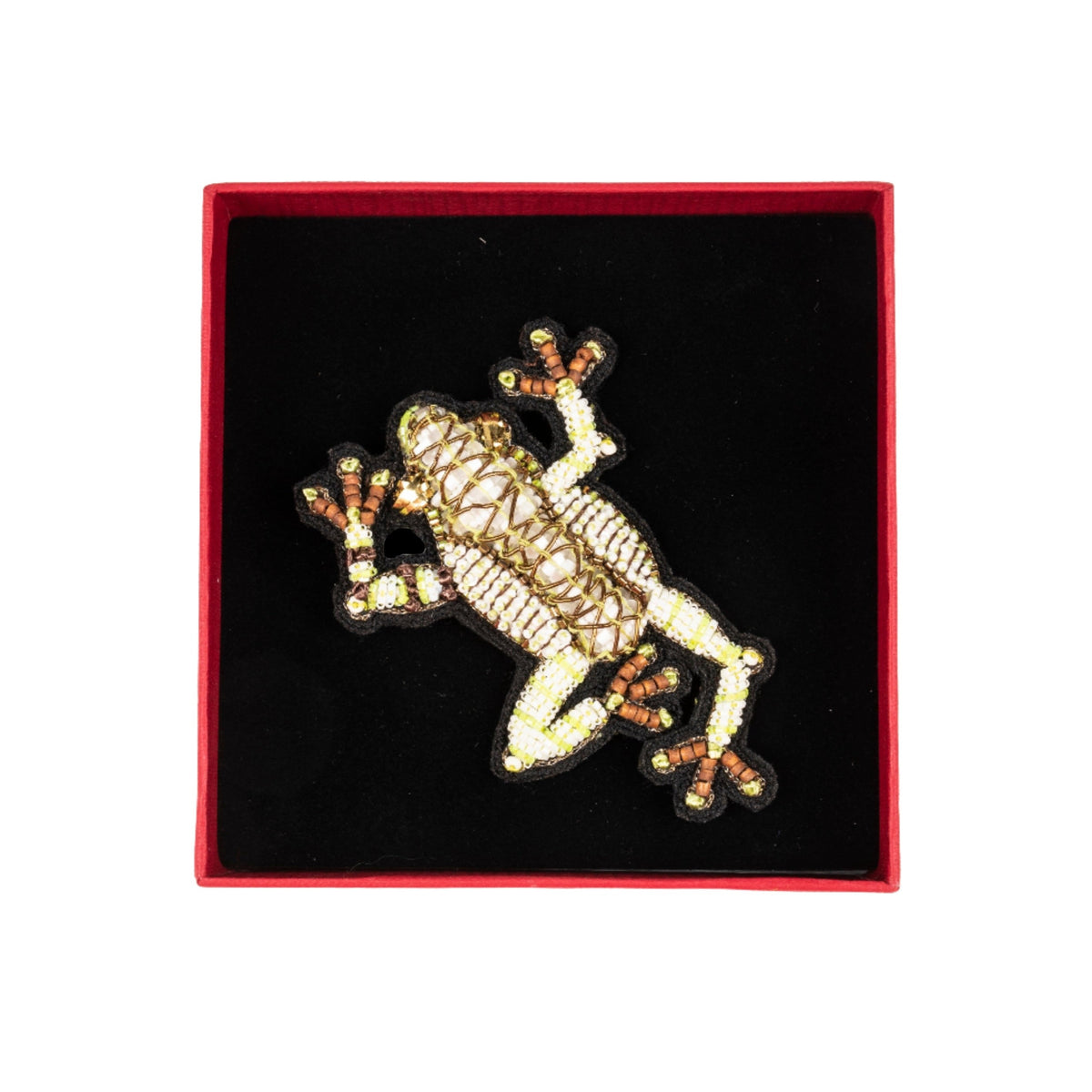 The dendrobate brooch displayed  in a red box. 