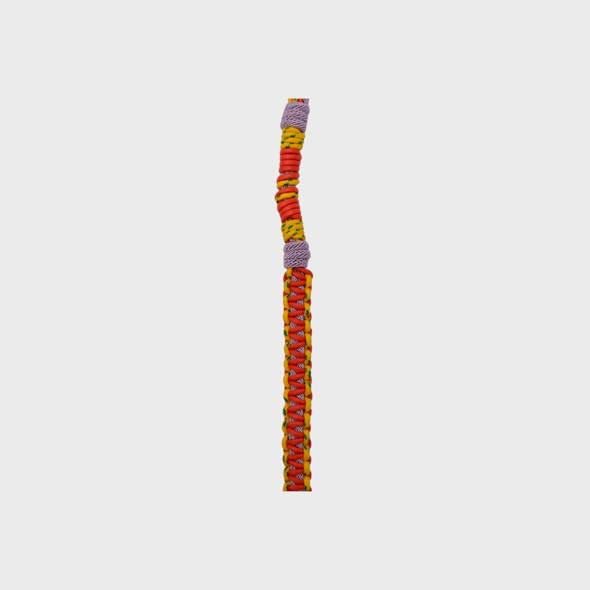 Detail of the Yellow, orange and purple Tarzan dog leash