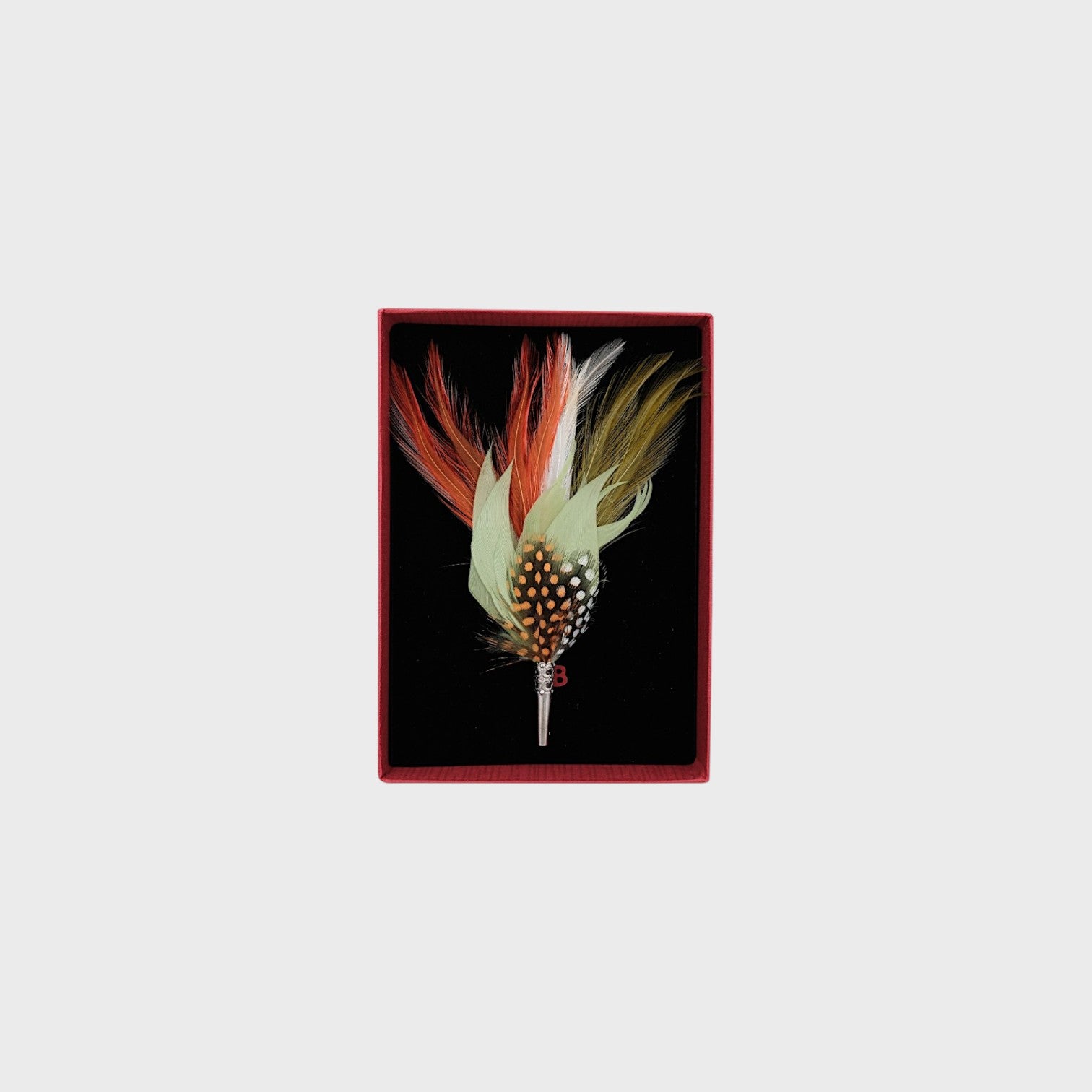 Orange and green feather in a box on a light gray background