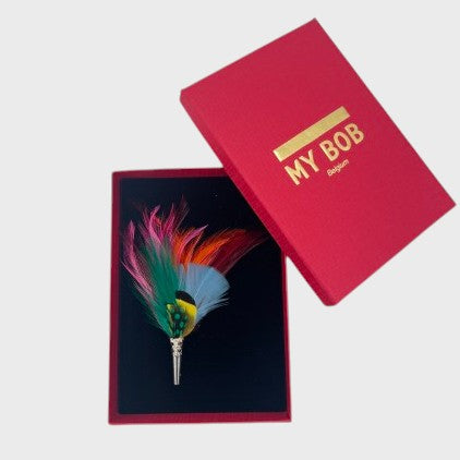 Red, pink, orange, blue, green and yellow feather in a box on a light gray background