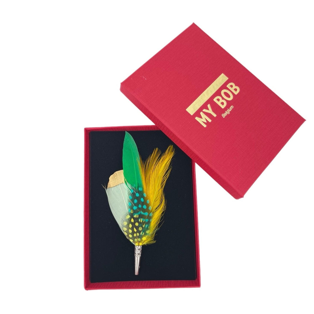 A colourful feather brooch in a red box. 
