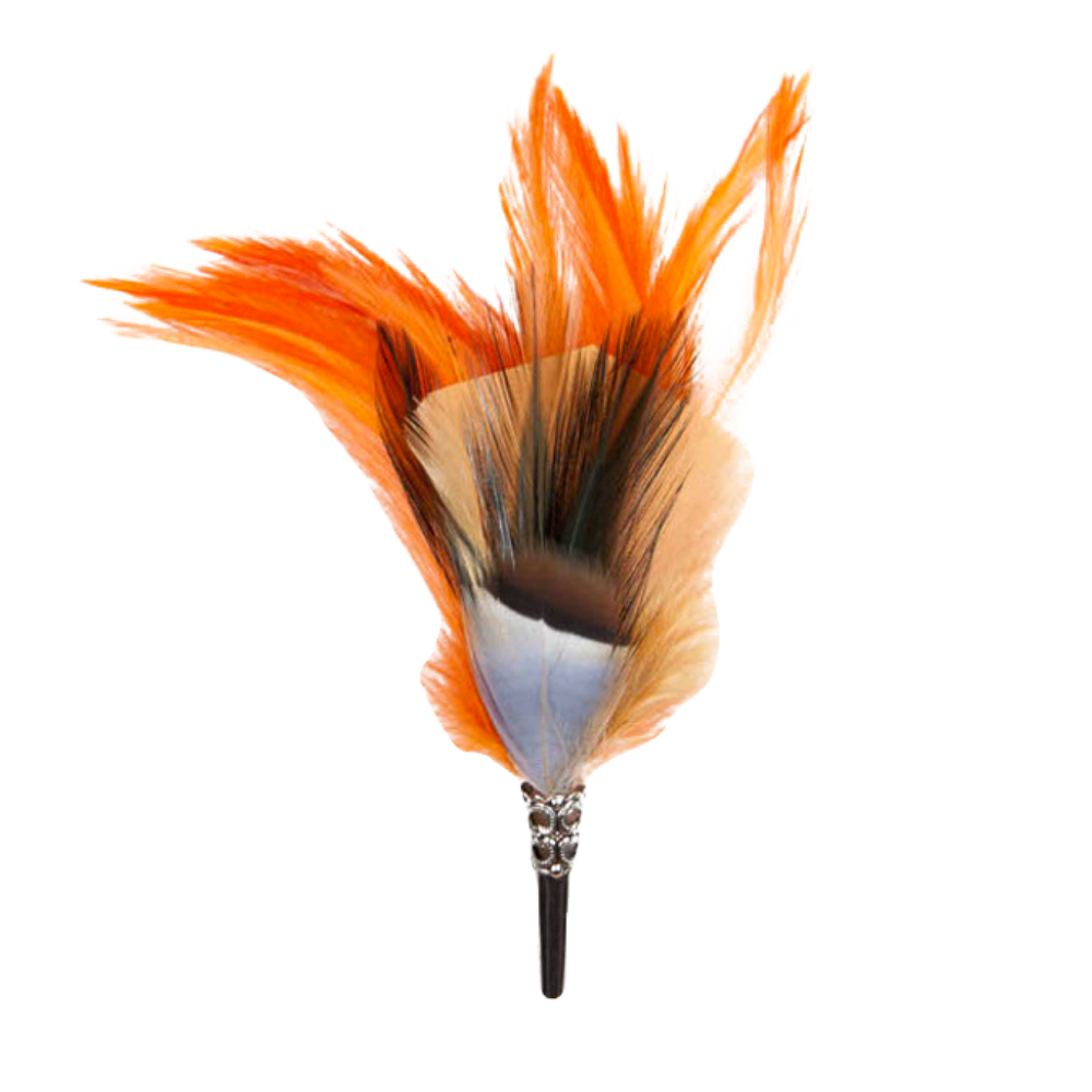 feather Brooch