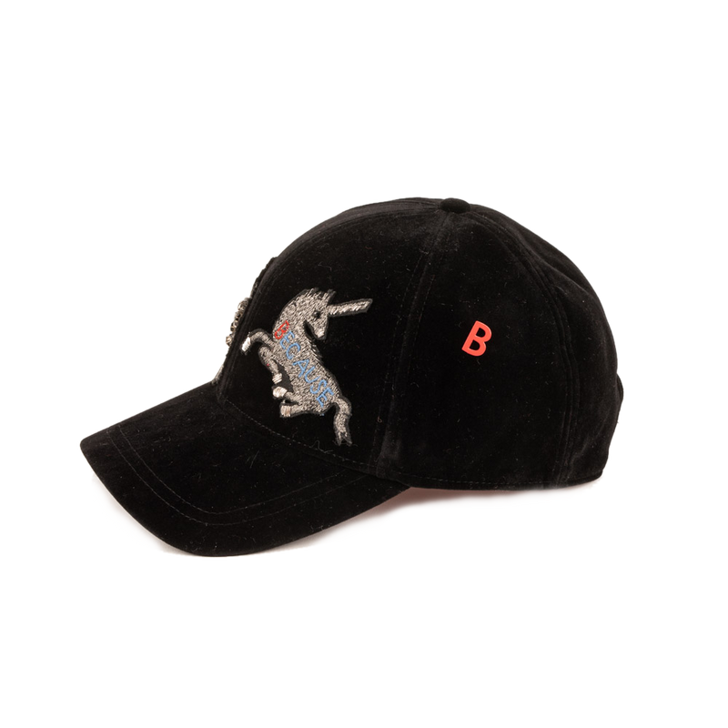 BASEBALL Cap Velvet w/Hand Embroideries