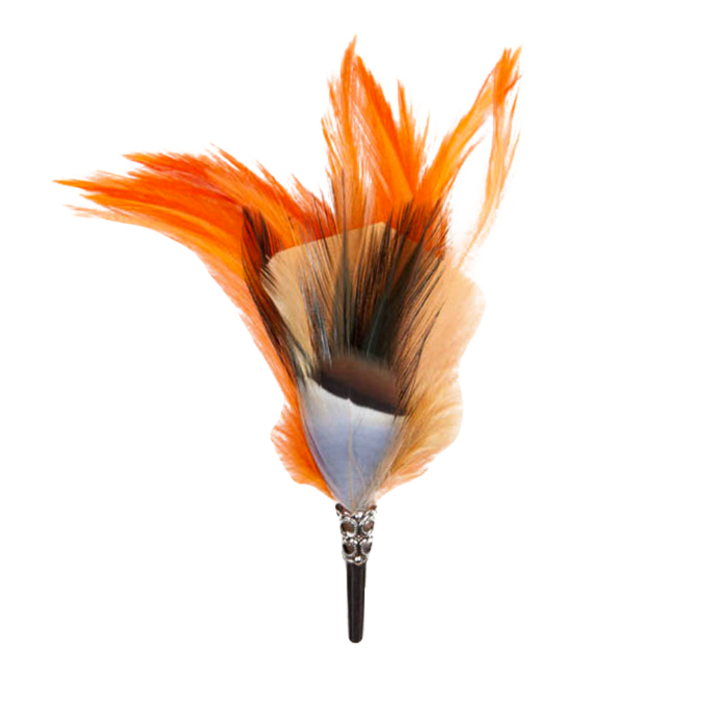An orange and blue feather brooch with a silver clasp